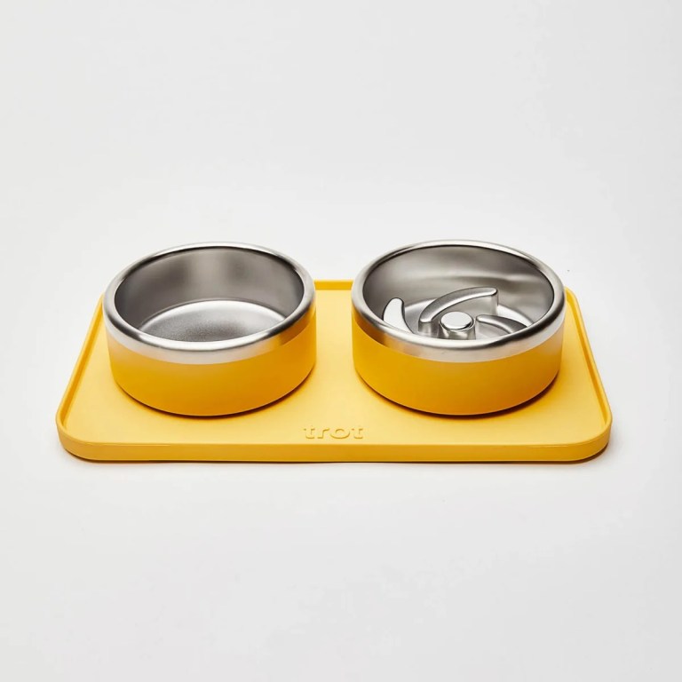 Bowls and Mat Pet Set