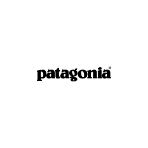 Patagonia 11.2 Million Vote Project: Help 3 Friends Vote Earn $100 Patagonia Credits + Free S&H on $99+