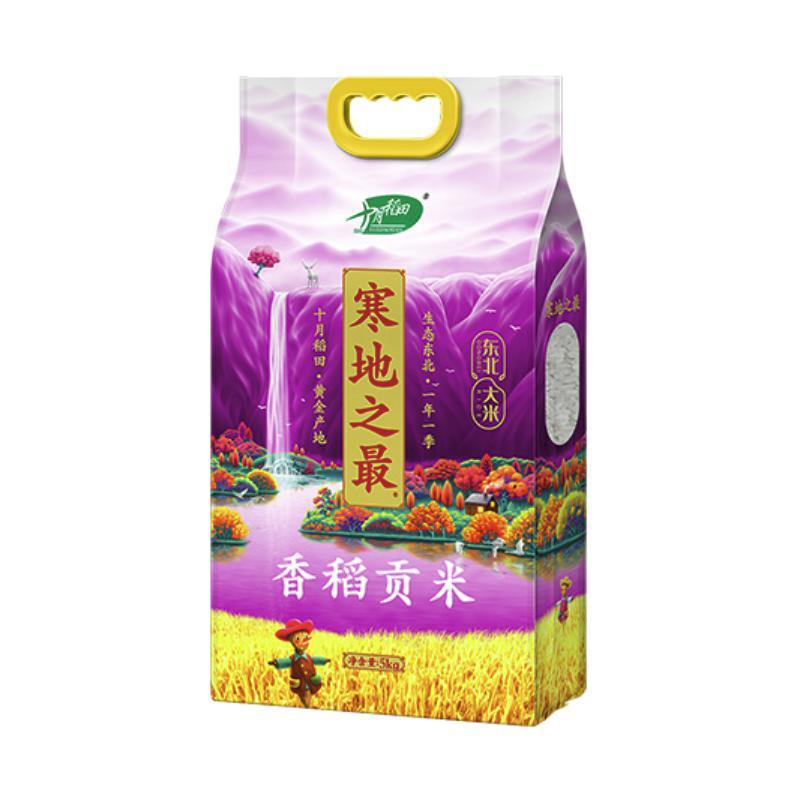 十月稻田 香稻贡米5kg