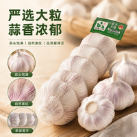 金乡大蒜 紫皮干蒜 5-5.5cm 3条装 净重660g+ 赠姜 8.79元（需用券）