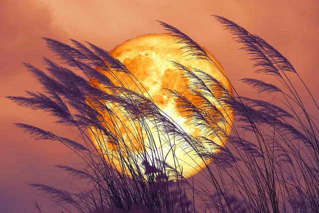 Everything to Know About the Harvest Moon—the Celestial Event that Signals Fall Is Here