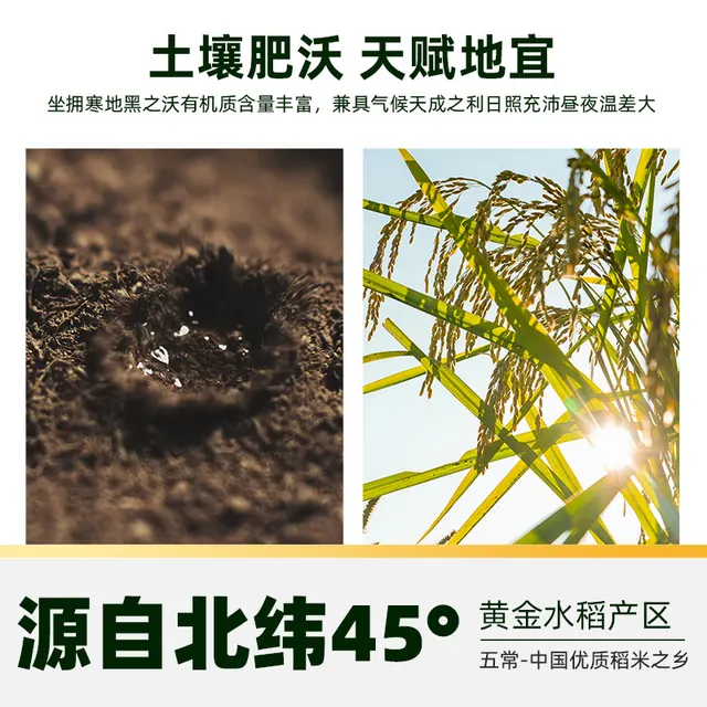 移动端、88VIP：十月稻田 稻花香2号 特等五常大米 5kg 73.22元（淘金币可抵7.27元起）