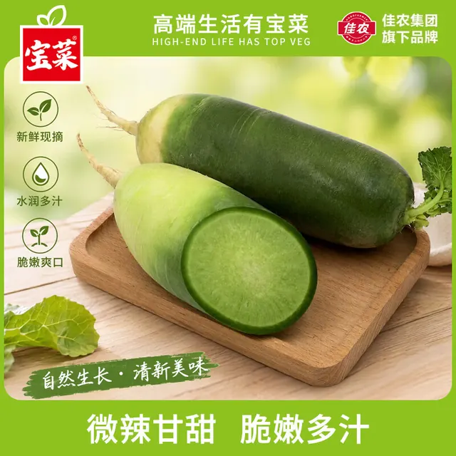 佳农 宝菜 水果萝卜正宗潍坊绿青萝卜脆甜生熟两吃当季新鲜蔬菜 净重5斤 13.8元（需用券）