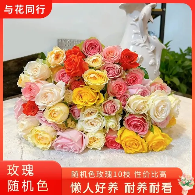 与花同行 随机色玫瑰 10枝 9.99元（需用券）