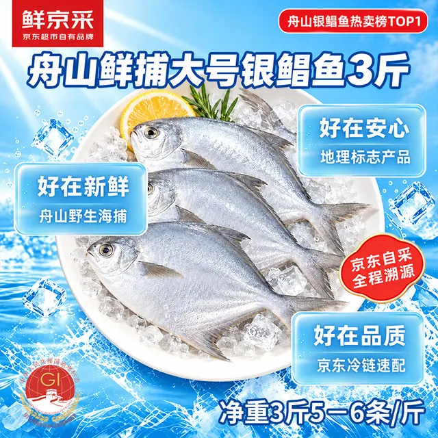 鲜京采 冷冻舟山鲜捕大号银鲳鱼1.5kg 10-12条/kg 源头直发 65.9元