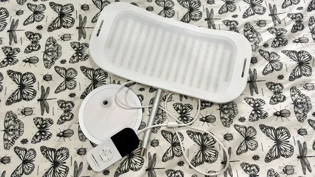 I tried CurrentBody's AU$1,360 LED panel for two months and it changed my skin for the better