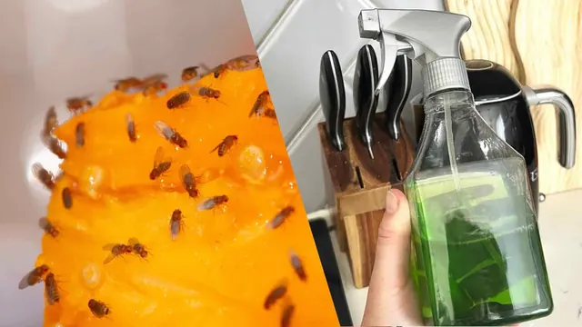 Stop waiting on apple cider vinegar traps — this 2-ingredient dish soap spray kills fruit flies instantly