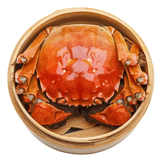 渔家师傅 漁家师全母3.5-3.8两10只去绳足重 鲜活螃蟹生鲜水产海鲜礼盒 156.1元（需用券）