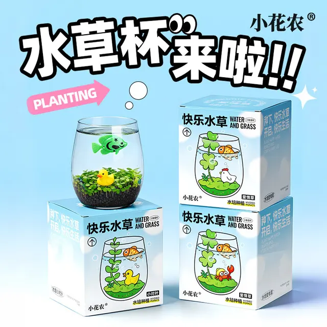小花农 快乐水草杯 小对叶 小鱼+小黄鸭 水培盆栽 12.9元（需用券）