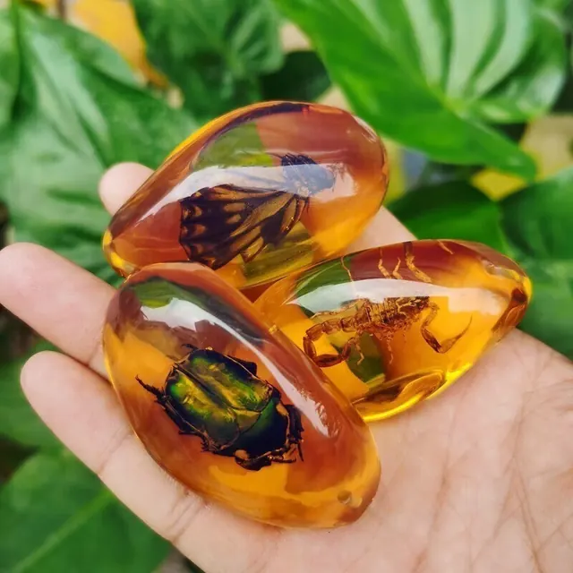 米芒 透明树脂真实昆虫标本 2只装 16.9元