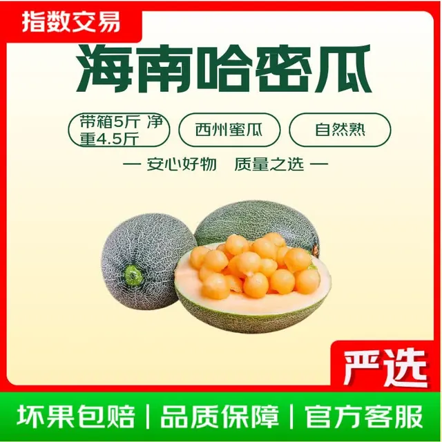 京东 哈密瓜西州蜜瓜 带箱5-6斤家庭装（1-2个果） 9.9元
