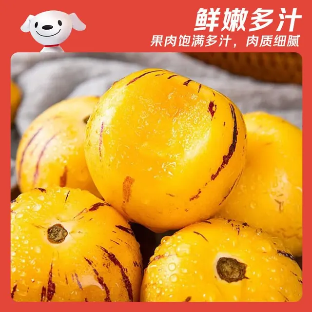 京觅 云南石林人参果 净重4.5斤 单果50g+中果 应季新鲜水果 源头直发 17.4元（需用券）