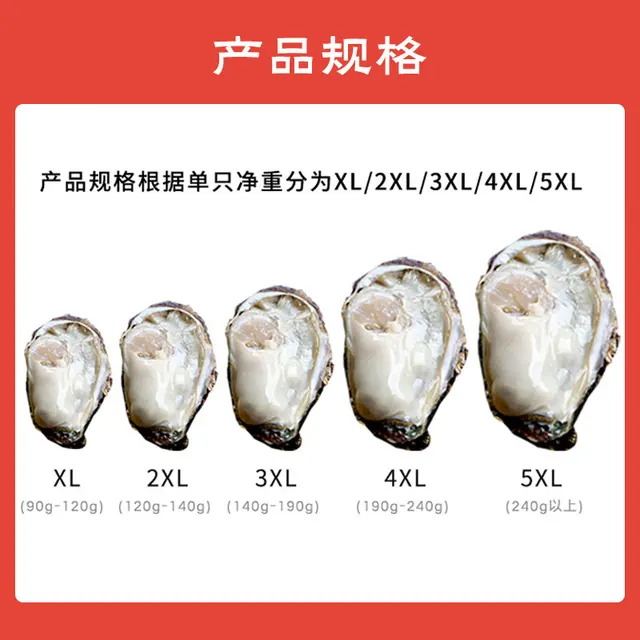 今日必买：鲜京采 每斤9元、死蚝包赔！鲜京采 鲜活生蚝5XL 净重5斤 9-12只 46.99元（需用券）