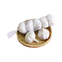 宝菜 紫白皮大蒜 200g*4条 单果约5.0cm