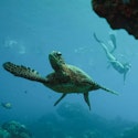 UnCruise Adventures 7-Night Hawaiian Seascapes Cruise for From $17,400 for 2